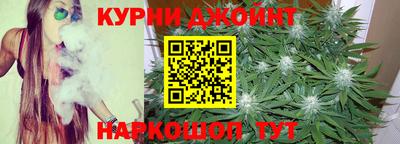 прущие грибы Ставрополь