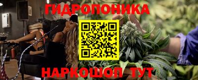 прущие грибы Ставрополь