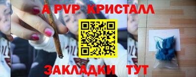 прущие грибы Ставрополь
