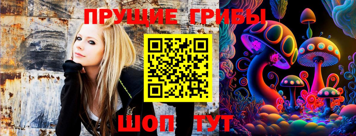 Можга  Псилоцибиновые грибы мицелий  Вход с VPN 
