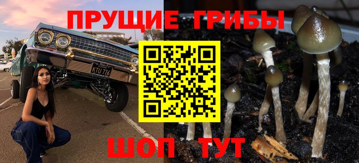 Галлюциногенные грибы мицелий Можга